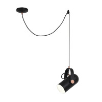 Подвесной светильник Favourite 2007-1P Ampolla