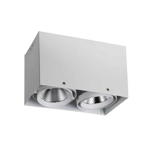 1986-2U, потолочный светильник, L265xW140xH160, COB 2xLEDx12W, RA>80, BEAM ANGLE:24°, 1920LM, 4000K, included