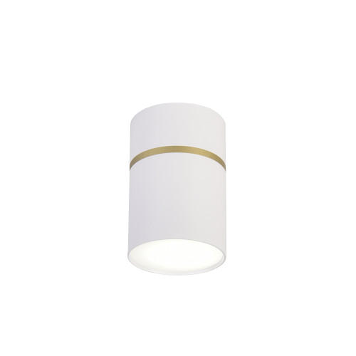 Накладной потолочный светильник Favourite 3067-1C Dunia