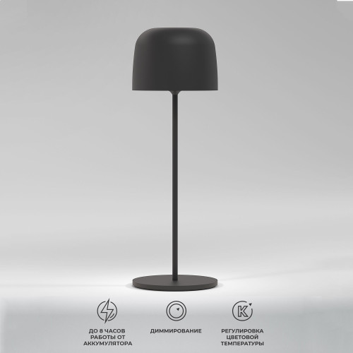 Светильник светодиодный настольный Bitty черный IP54 TL70260