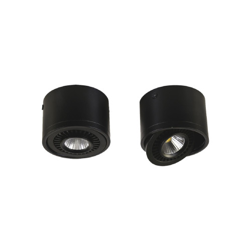 1779-1C, потолочный светильник, D112xH85, 1xLEDx12W, AC:100-240V, 960LM, RA>80, IP21, 960LM, 4000K, included