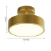 Потолочный светильник F-Promo 3059-2P Atma