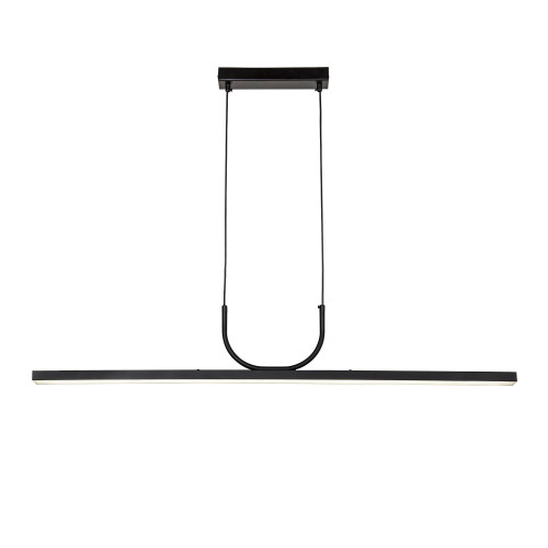 Подвесная люстра Favourite 4096-2P Raya