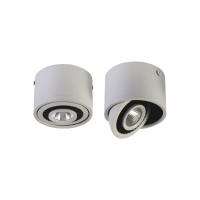 1775-1C, потолочный светильник, D87xH60, 1xLEDx7W, AC:100-240V, 560LM, RA>80, IP21, 560LM, 4000K, included