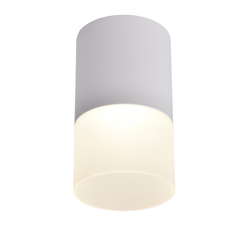 3069-1C, потолочный светильник, D64xH110, LEDx5W, 400LM, 4000K, IP20, included