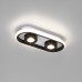 Потолочный светильник 20123/2 LED белый / черный