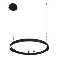 4474-1P, подвесная люстра, D600xH1000/1800, LEDx58W + 2xLEDx3W, 1860LM, 3000-6500K, included, remote control