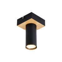 Потолочный светильник F-Promo 4431-1C Olson