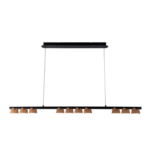 Подвесная люстра Favourite 4266-10P Interline