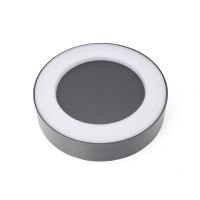 Настенный уличный светильник Favourite 2865-1W Washer