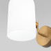 Настенный светильник со стеклянным плафоном 60157/1 латунь