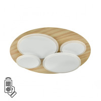 7734/60L   Светильник PINE