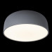 10201/480 Grey Потолочный светильник LOFT IT Axel