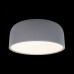 10201/350 Grey Потолочный светильник LOFT IT Axel