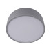 10201/350 Grey Потолочный светильник LOFT IT Axel
