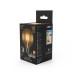 105802106 Лампа Gauss LED Filament G95 E27 6W 630lm 2700K 1/20