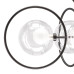 Люстра подвесная Alfa Lightstar 745077