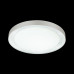3031/DL  Светильник пластик/белый/прозрачный LED 48Вт 3000-6500K D450 IP43 пульт ДУ/ LampSmart ASUNO