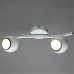 A6251PL-2WH СВЕТИЛЬНИК ПОТОЛОЧНЫЙ