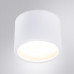 A5543PL-1WH Светильник потолочный накладной INTERCRUS для GX53 Ø80x60мм белый IP44