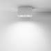 Потолочный светильник Technical C017CL-02W