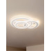 Потолочный светильник Freya FR10022CL-L63W