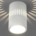 Накладной светодиодный светильник с подсветкой белый DLS026