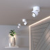 Накладной потолочный светодиодный светильник DLR031 15W 4200K 3100 белый матовый/серебро