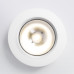 Накладной потолочный светодиодный светильник Белый DLS030