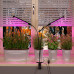 Светильник для растений на прищепке 16 Вт FT-005