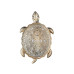 Настенный светодиодный светильник Favourite Turtle 2256-1W