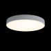 10002/24 White Потолочный светильник LOFT IT Axel