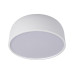 10201/350 White Потолочный светильник LOFT IT Axel