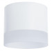 A5554PL-1WH Светильник потолочный накладной CASTOR  для GX53 Ø93x109мм белый IP20