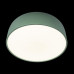 10201/480 Green Потолочный светильник LOFT IT Axel